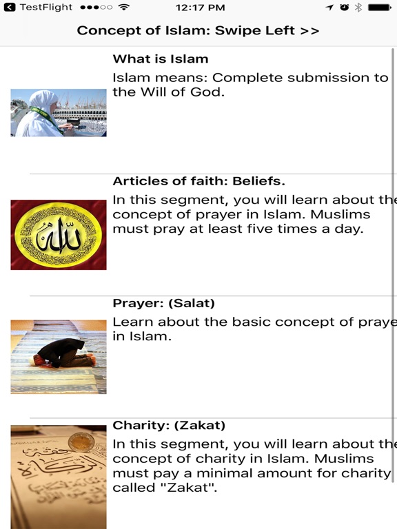 Screenshot #4 pour Concept of Islam
