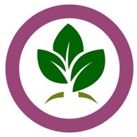 Essential Oils: Young Living PC 용