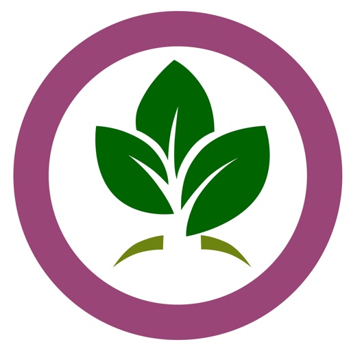 Essential Oils Ref Guide to Young Living