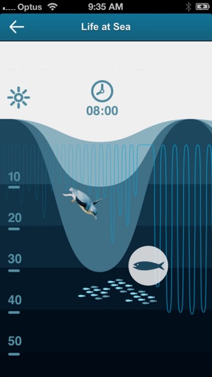 Penguin Parade, Phillip Island(圖5)-速報App