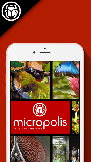 Micropolis(圖1)-速報App