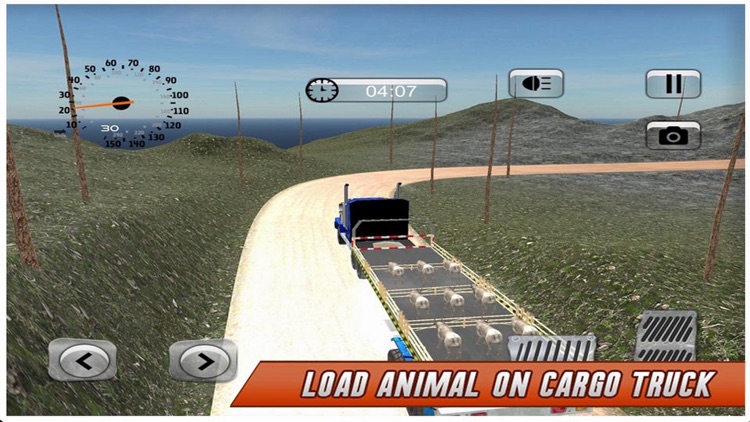 Animal Transport Truck Driving