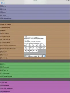 Библия (текст и аудио)(audio)(Russian Bible) iPad image 4