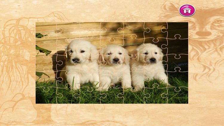 Dog Jigsaw Puzzles - Activities for Family screenshot-4