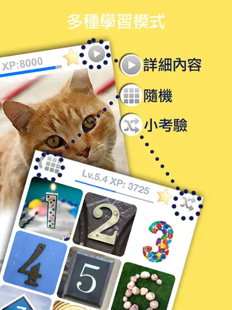 學習意大利語/意大利文-兒童發聲字典單字卡 基礎