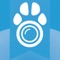 When you have a spare smartphone, tablet, or computer around the house, you can turn that into your pet camera and keep an eye on your pets remotely