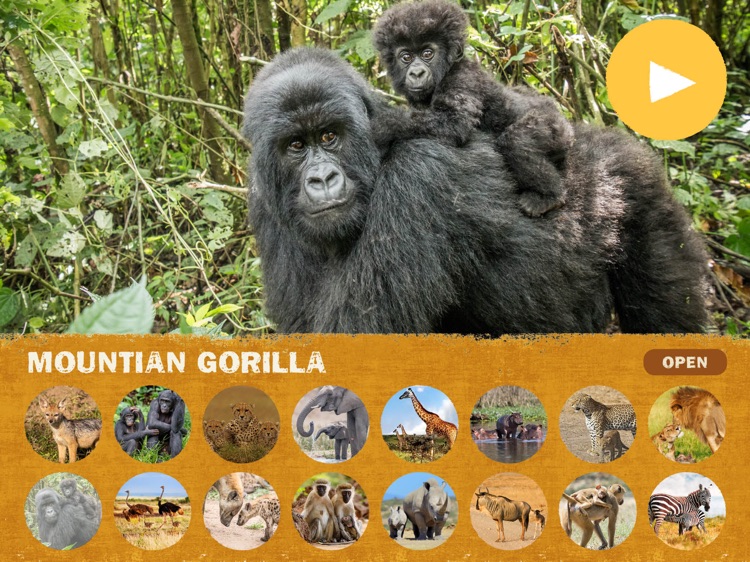 Nature Sounds Africa