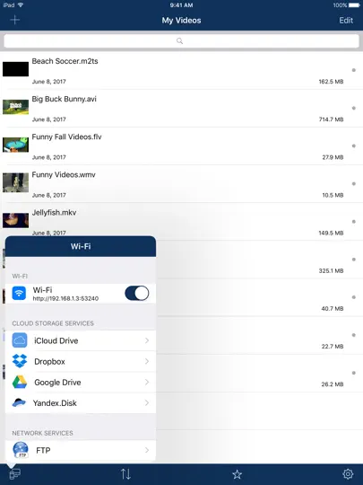 AVPlayer For IPad iPhone Ekran Görüntüsü 4