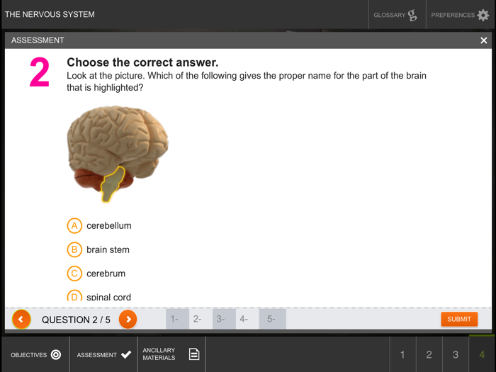 Exploring the Nervous System