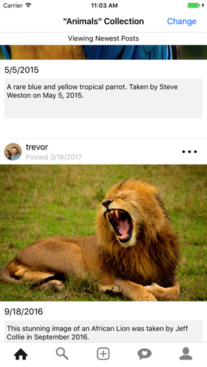 Storie - Create & Share Photo Collections(圖2)-速報App