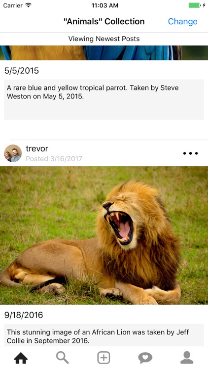 Storie - Create & Share Photo Collections