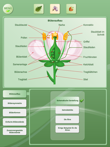 Biology - Plant handbook HD screenshot 2