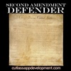 2nd Amendment Defender