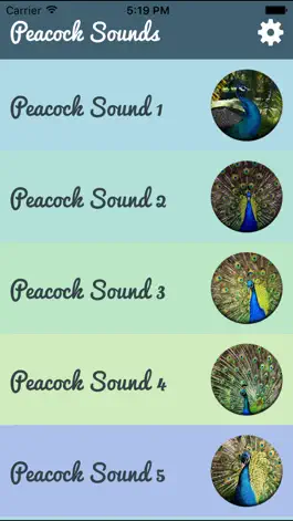 Game screenshot Peacock - Chirping Sounds apk