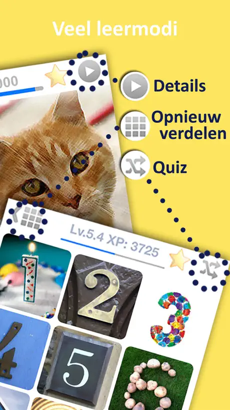 Codewords Pro