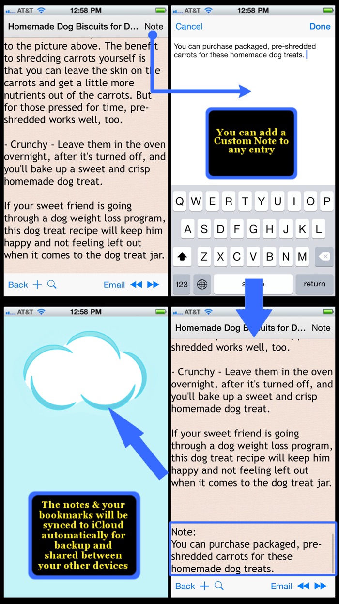 Homemade Pets Recipes