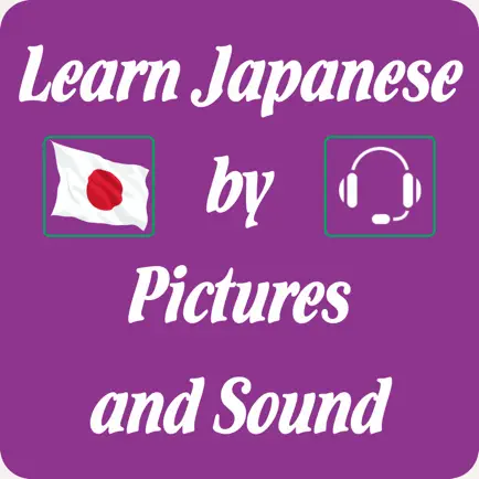 Japanese Vocabulary - Learn and Test Cheats