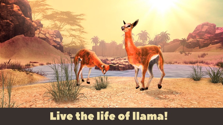 Llama Simulator 3D