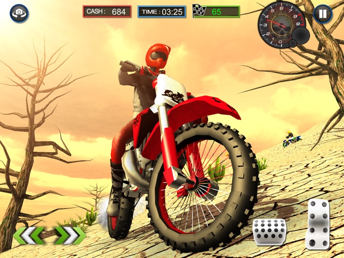 沙漠竞赛挑战：快速自行车