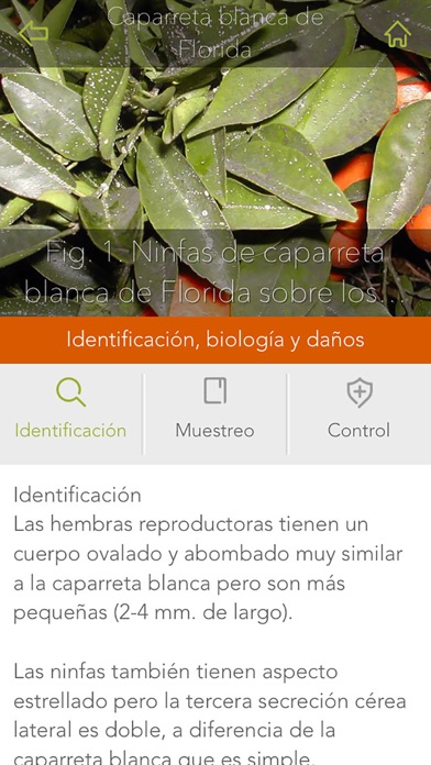 Gipcitricos IVIA screenshot