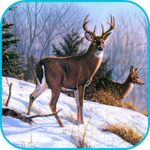 Deer Sniper 2017 3D icon