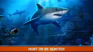 Angry Fish Hunting - Sea Shark Spear-fishing Game screenshot #4 for iPhone