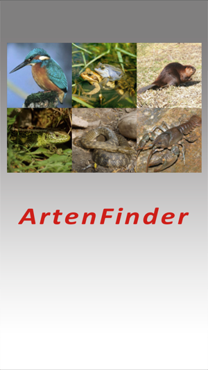 ArtenFinder(圖1)-速報App