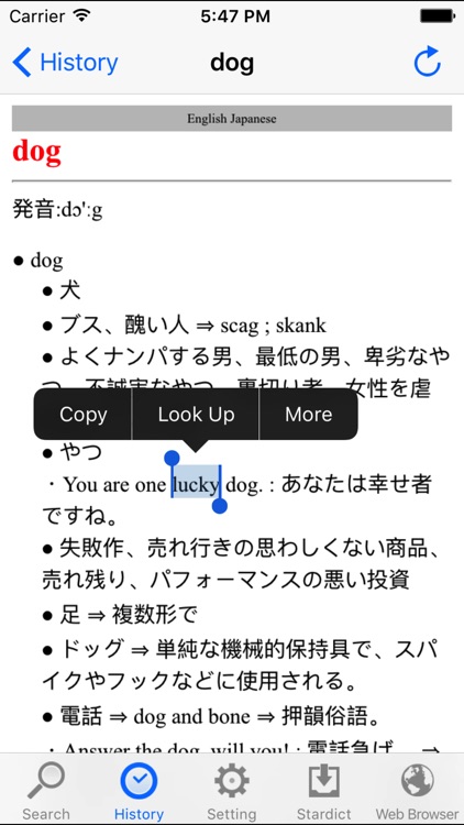 JapanDict screenshot-3