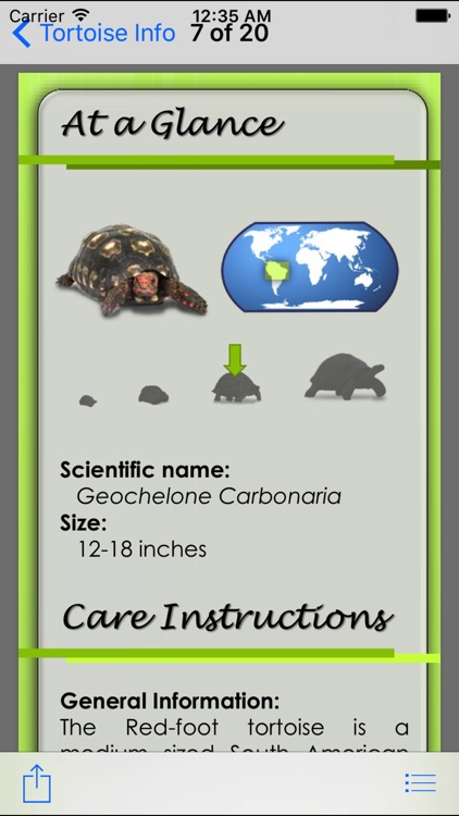 MyTurtle screenshot-3