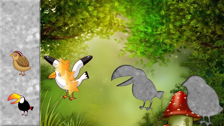 Birds Puzzles for Toddlers and Kids screenshot-0