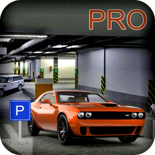 Airborne Real Parking : Super Car Pro icon