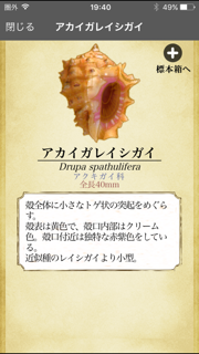 ザ・図鑑 貝殻100種 screenshot 2