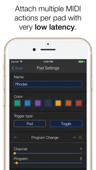MidiPad 2 iphone resimleri 2
