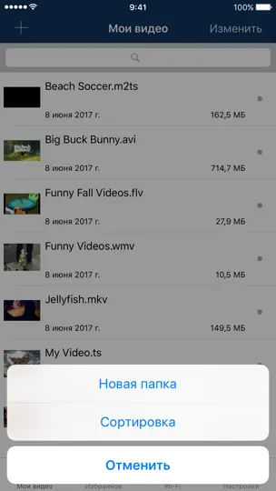 Скриншот AVPlayer для IPhone на iPhone 1