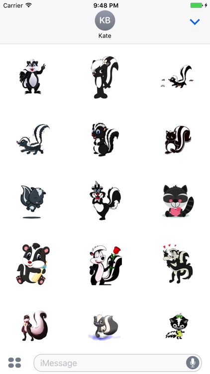 Skunks Stickers