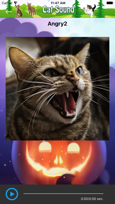 Cat Sounds and Music Screenshot