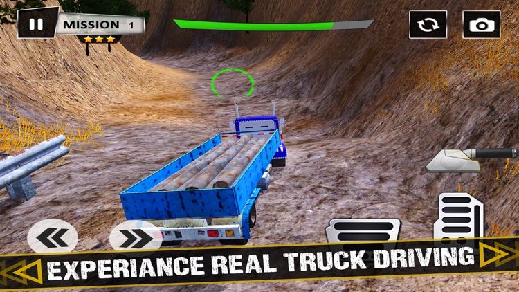 Real Truck Driver