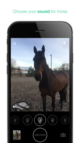 Game screenshot Click-Now mod apk