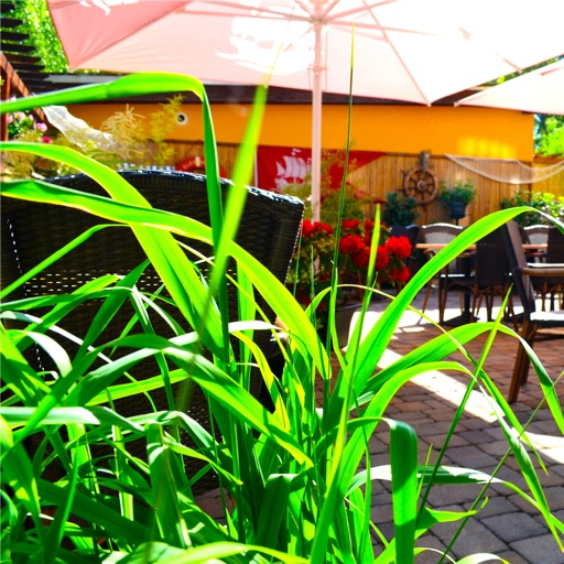 Schwindts Restaurant