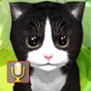 子猫、子猫を話すに言えば、あなたのバーチャルペットの猫 - iPhoneアプリ