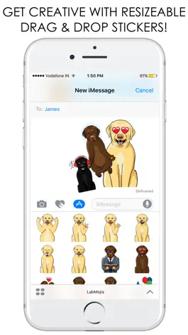 Game screenshot LabMojis - Labrador Retriever Emoji & Stickers hack