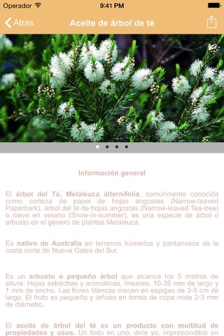 By Naturals - Tu Guía Natural screenshot 4