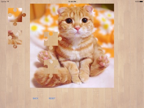 Cats Cute Pet Puzzle screenshot 2