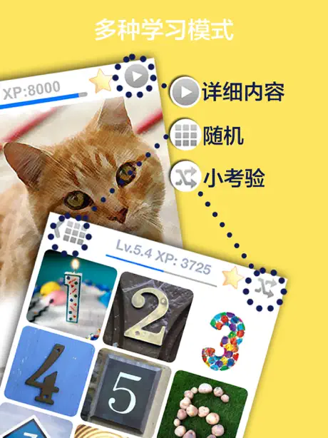 游学越南语-越南文单字卡游戏(基礎版)