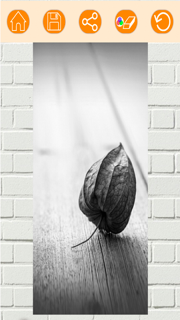 Color effects photo editor – Recolor pictures screenshot 4