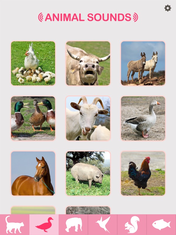 Animal Sounds - Baby & Toddler Game iPad screenshot 4 - Education app