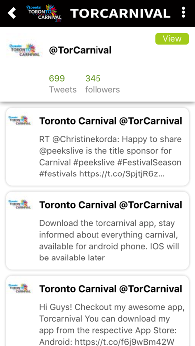 Torcarnival screenshot 4