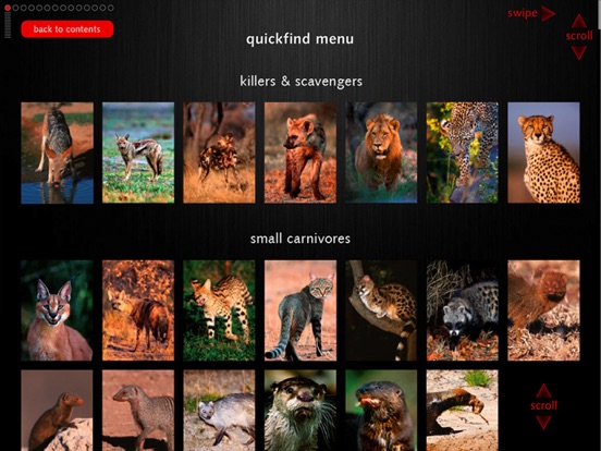 Screenshot #5 pour Game Drive - A Safari Guide of Southern Africa