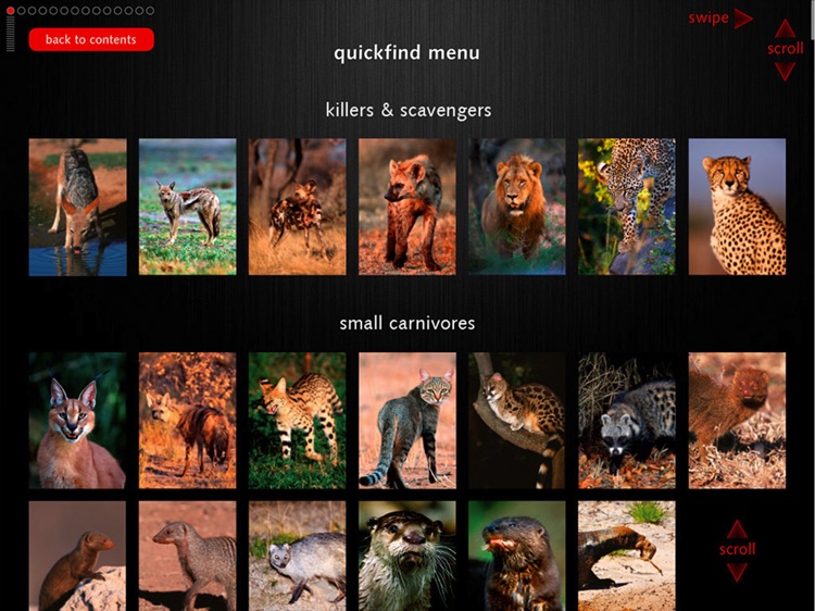 Game Drive - A Safari Guide of Southern Africa