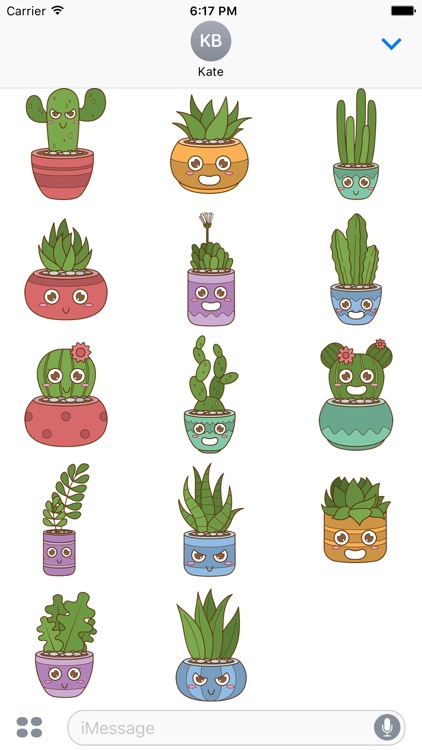 Silly Succulents